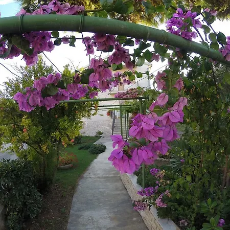 Tatil Evi House Helena *